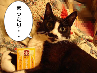 skUU9fYimMUqL_21391689295_1391689725.png